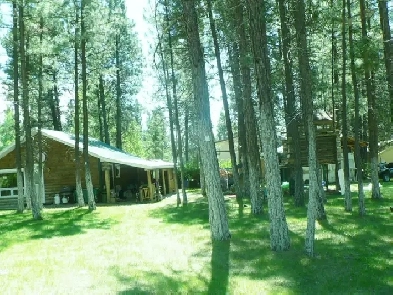 Cabin for Rent in Wasa, BC - 1 bdm, 1 bath Image# 2