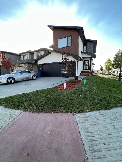 New Built House for Rent Image# 7