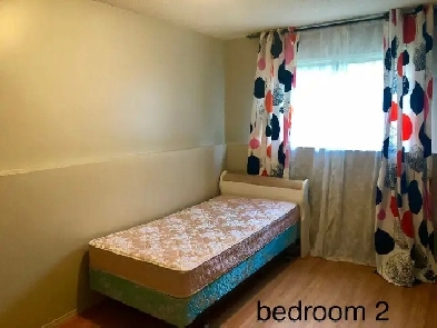 Bright 2 Bedroom Basement Suit Next to Mill Creek Ravine Image# 3