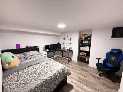 ✨ Beautiful 2-Bedroom Basement Apartment for Rent Image# 8