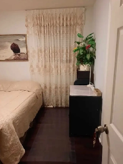 Furnished room for one female Image# 1