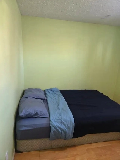 Bright Spacious Bedroom In Basement Image# 3