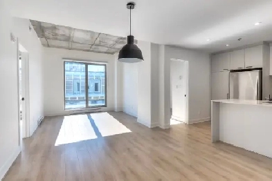 GRAND-3cc 2 sdb Condo appartement à louer Outremont/Mile Ex Image# 2