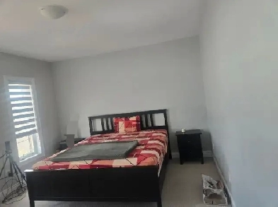 private spacious room in family living house near mount pleasant Image# 1