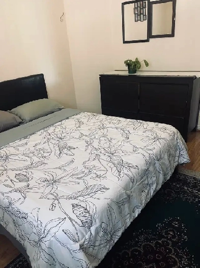 Brampton furnished room upper house close to bus stop Image# 8