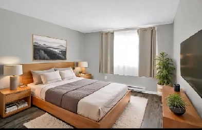 Room for rent Ladies only - Ottawa Barehaven Image# 4