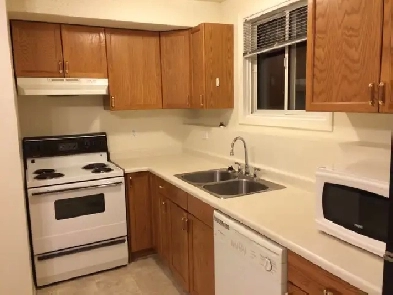 3 Bedroom/2 Full Bath Basement Suite near UofA Image# 1