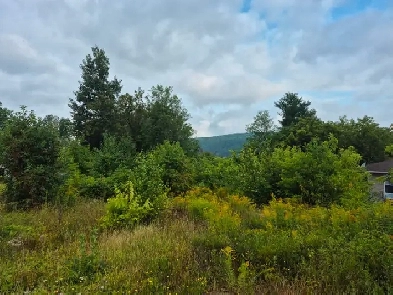 VACANT LAND - 560 NEW ST, MATTAWA, ON Image# 1