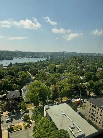 BEAUTIFUL 1-BEDROOM CONDO FOR SALE NEAR DAL AND KING'S COLLEGE Image# 1