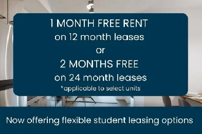 1 Month Free– 1bed 1 bath -  Gym, Basketball Court - Move in Now Image# 14