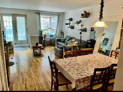 CONDO FOR RENT GROUND FLOOR 4 ½ (CENTER VILLAGE) Image# 1