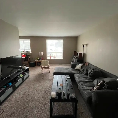 2 Bedroom Apartment for Sublet - September 1 Image# 9