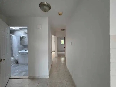 3 1/2 a louer Image# 1