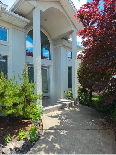Renovated Raised Ranch 4-Bedroom Home for Rent – Prime Windsor L Image# 5