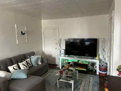 Large bachelor apartment $850 Image# 4