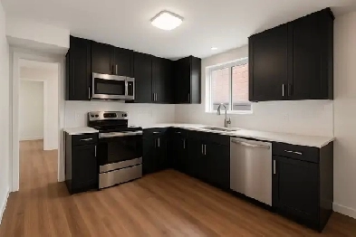 Renovated 1 bedroom in Forest Hill - Natural light and greenery Image# 2