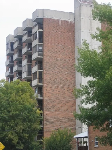 1 BEDROOM BILLINGS BRIDGE SEPTEMBER 1ST Image# 3