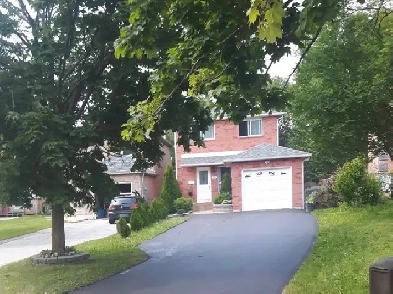 ✨ Bright & Cozy 3-Bedroom Home for Rent in Northwest Barrie ✨ Image# 1