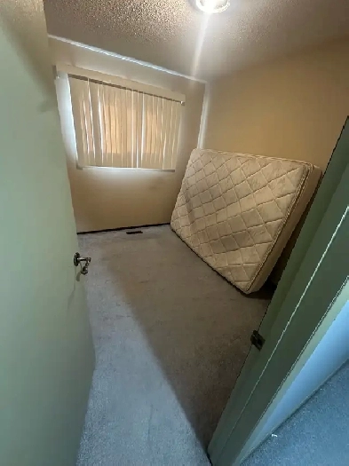 Private room rent ( for a girl ) September 1st Image# 1