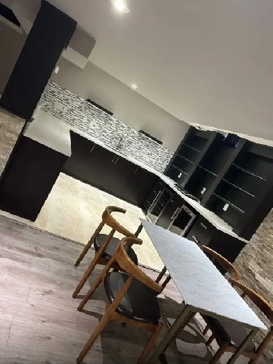 Bachelor style basement for rent Image# 3