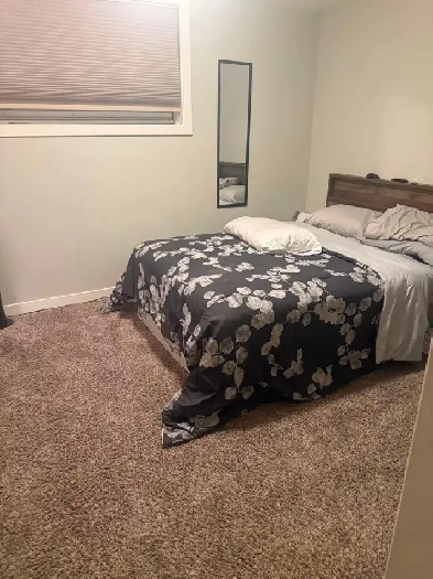 Private bedroom for rent Image# 1