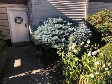 Townhouse for Rent Image# 3
