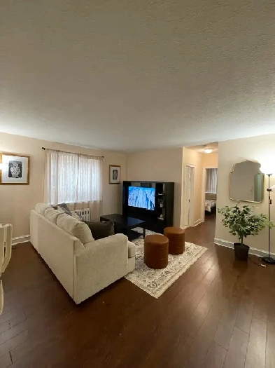 Fully Furnished One Bedroom Apt for Rent in Downtown Hamilton Image# 8