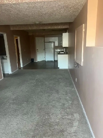 2 bedroom basement available for rent in Taradale ne Image# 7