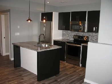 Beautiful Suite in Evergreen – available Oct 1st Image# 4