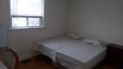 Main Floor Room - in-suite Washroom for couple Image# 1