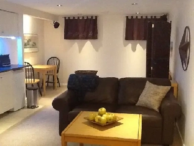 Tastefully Furnished Studio/bachelor, minutes from College Squar Image# 3