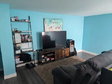 Spacious one bedroom basement apartment in North Ajax Image# 1