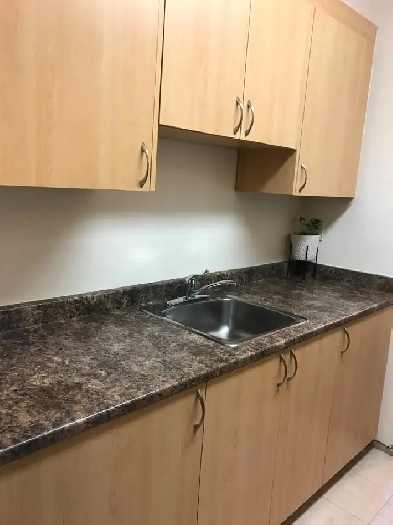 1 bedroom 1 bathroom apartment Stouffville ON Image# 4