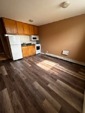 1-Bedroom All-Inclusive on Algoma St Image# 1