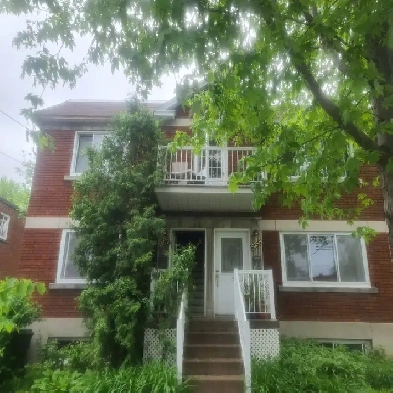 Roomate wanted  5 1/2 upper duplex  avai.able Sept 1 Image# 1