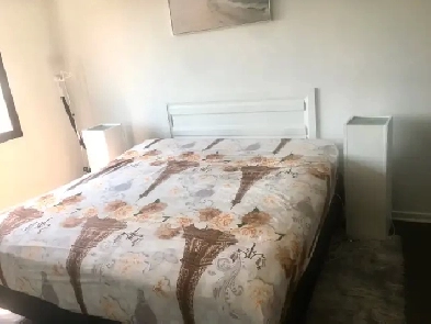Apartment for rent Image# 1