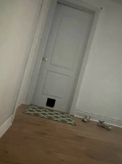 house for rent or sale Image# 1