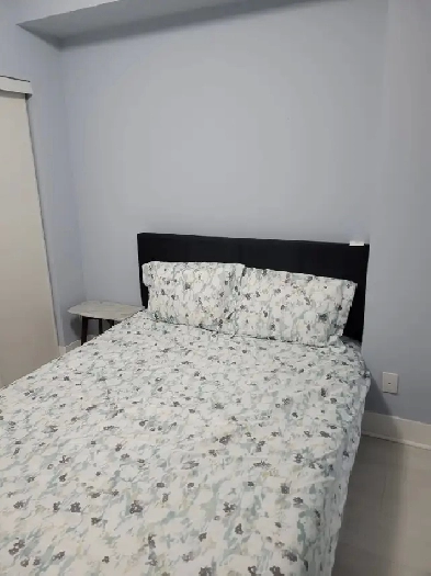 Renting a furnished room in 2 bed,2bath den condo. Image# 6