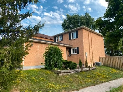 1 Bdr Basement Apartment  for rent in Richmond Hill Image# 1