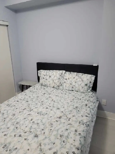 Midtown: Room for Rent Image# 2