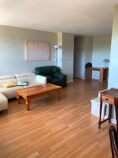 1 beedroom condo apartment - furnished Image# 1