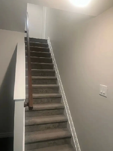 Spacious One-Bedroom Basement Apartment for Rent – All Inclusive Image# 8