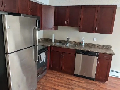 1 Bedroom plus den CONDO for rent Lowe/Nelson Rd. Image# 3