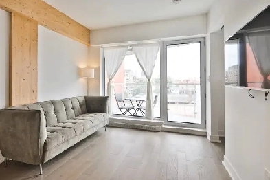 Joli condo meublé à Griffintown Beautiful furnished condo Image# 10