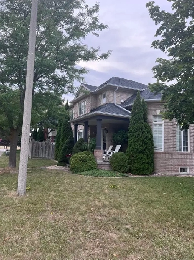 HOUSE FOR RENT WOLKING DISTANCE TO MOUNT PLEASANT GO STATION Image# 1