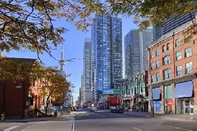 1 Bedroom Condo 295 Adelaide W Downtown  (King   John) for Rent Image# 16