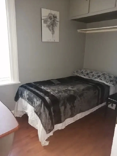 Room (Furnished) Main Floor Image# 9