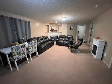 2 Bedroom Basement available for Rent in Southside Edmonton Image# 4
