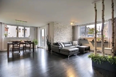 Condo 2 ch Chambly Image# 4
