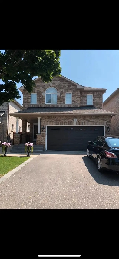 Basement for rent In Woodbridge ( Islington and Rutherford ) Image# 3